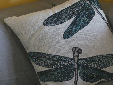 KI Dragonfly Guesthouse - Accommodation Georgetown 43