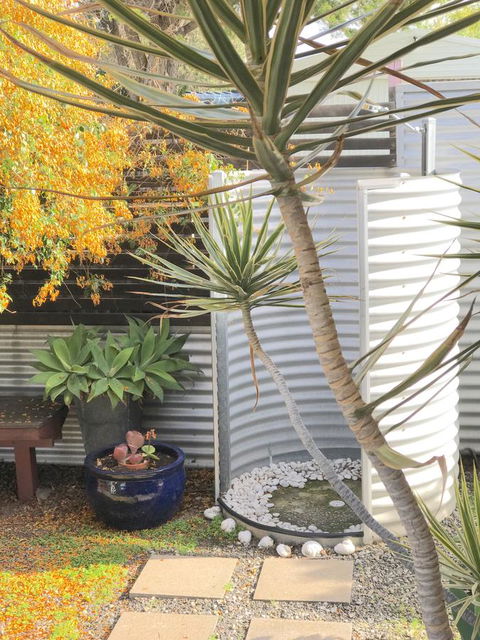 Milly\'s Middleton - Pet-friendly - Accommodation Georgetown 23