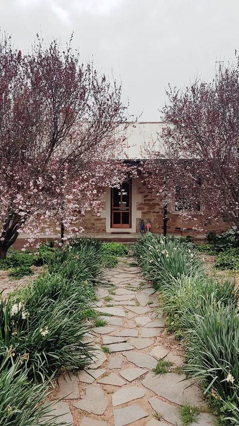 D2 At Watervale - Accommodation Georgetown 0