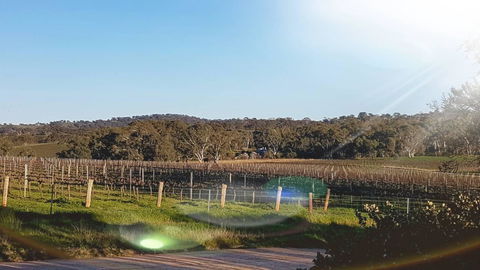 D2 At Watervale - Accommodation Georgetown 23