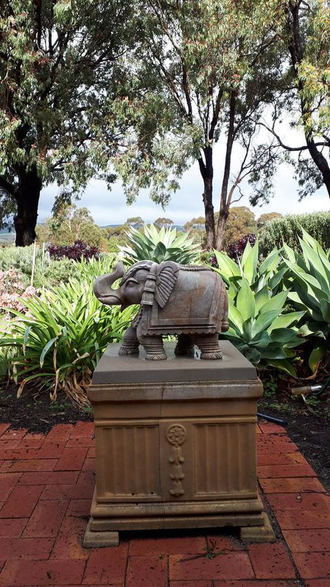 Linger Longer Vineyard - Accommodation Georgetown 18