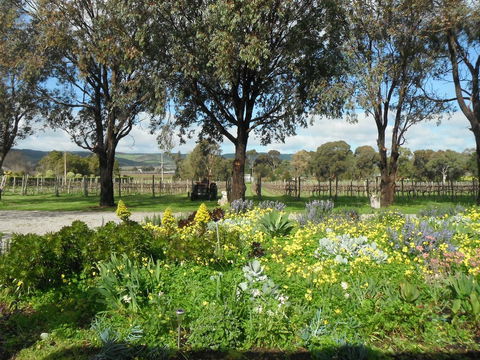 Linger Longer Vineyard - Accommodation Georgetown 17