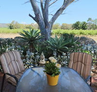 Linger Longer Vineyard - Accommodation Georgetown