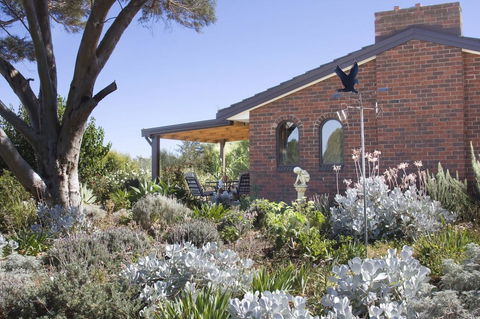 Linger Longer Vineyard - Accommodation Georgetown 13