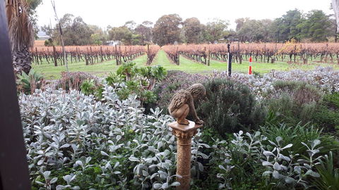 Linger Longer Vineyard - Accommodation Georgetown 4