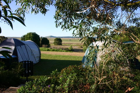 Millicent Hillview Caravan Park - Accommodation Georgetown 43