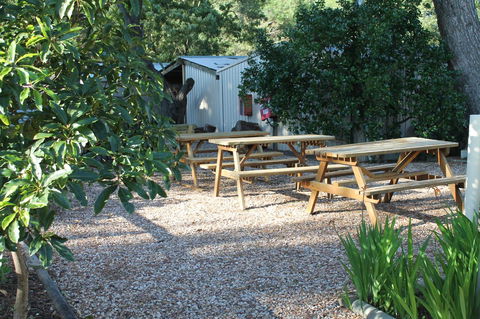 Millicent Hillview Caravan Park - Accommodation Georgetown 9