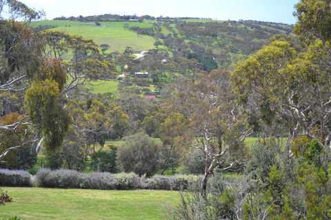 Shiraz Cottage - Accommodation Georgetown 8