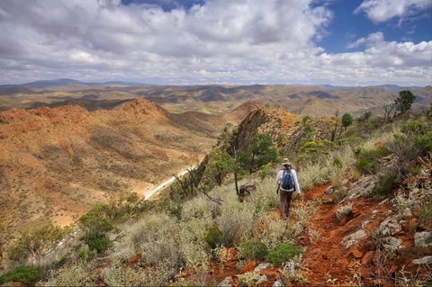 Arkaroola Wilderness Sanctuary - Accommodation Georgetown 4