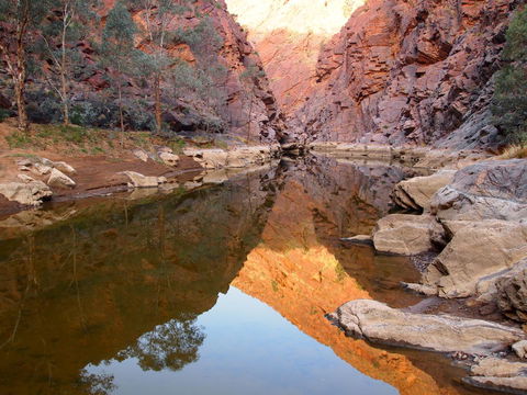 Arkaroola Wilderness Sanctuary - Accommodation Georgetown 6
