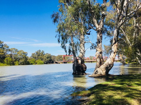 Echo Holiday Parks - Renmark - Accommodation Georgetown 5