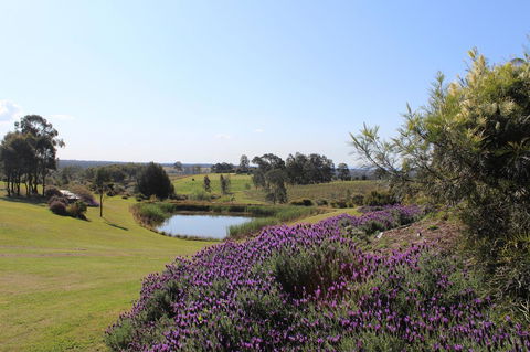 Beltana Villas - Accommodation Georgetown 7