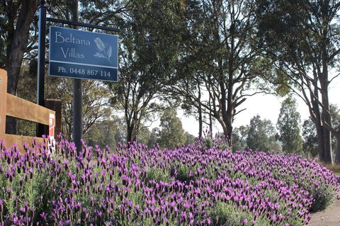 Beltana Villas - Accommodation Georgetown 10