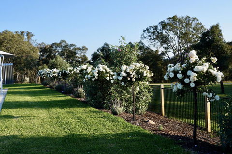 Beltana Villas - Accommodation Georgetown 2