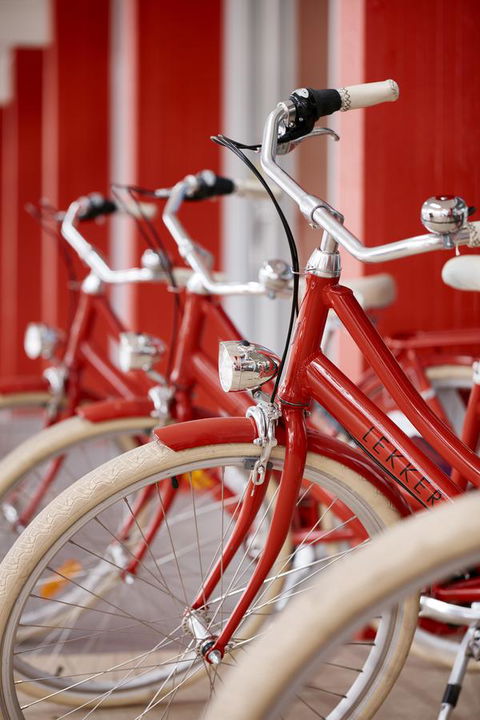 Art Series - The Watson - Accommodation Georgetown 24