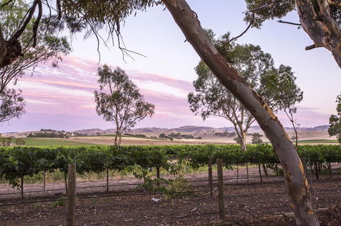 Jasmine\'s Barossa Valley Cottage - Accommodation Georgetown 19