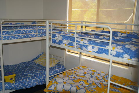 The Hakeas - Accommodation Georgetown 5