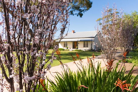 20 Hill Avenue Bed & Breakfast - Accommodation Georgetown 1