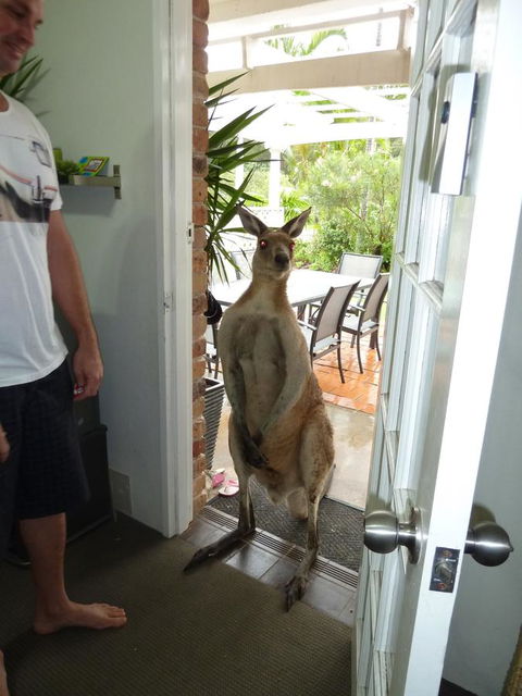 Aston Motel Yamba - Accommodation Georgetown 10