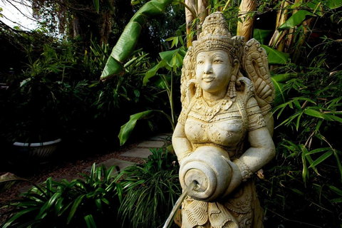 The Lotus Eater - Accommodation Georgetown 18