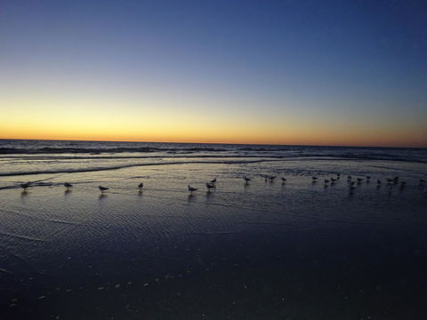 Aurora Holiday Apartment @West Beach - Accommodation Georgetown 14