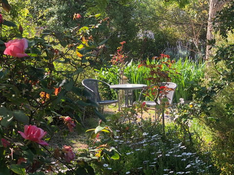 Treasured Memories Cottage - Accommodation Georgetown 17
