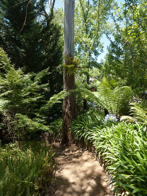 Aldgate Creek Cottage Bed And Breakfast - Accommodation Georgetown 27