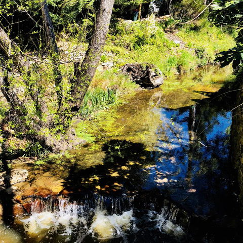 Aldgate Creek Cottage Bed And Breakfast - Accommodation Georgetown 22