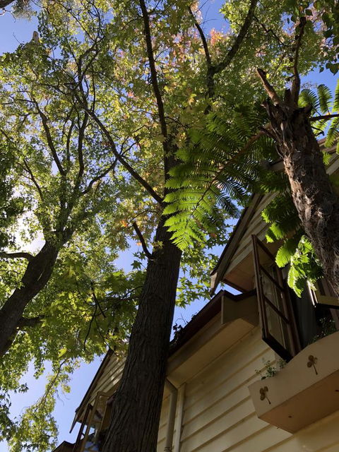 Aldgate Creek Cottage Bed And Breakfast - Accommodation Georgetown 8