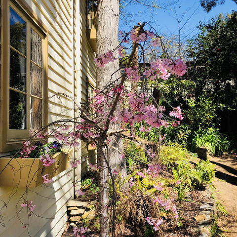 Aldgate Creek Cottage Bed And Breakfast - Accommodation Georgetown 19