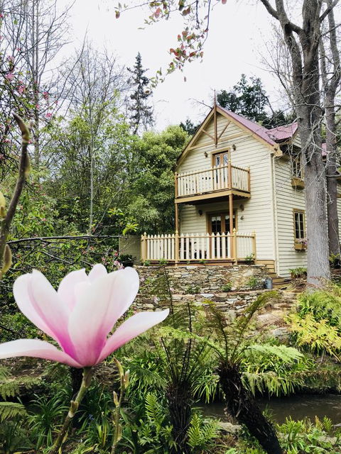 Aldgate Creek Cottage Bed And Breakfast - Accommodation Georgetown 6