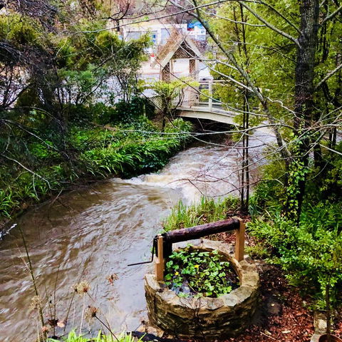 Aldgate Creek Cottage Bed And Breakfast - Accommodation Georgetown 23