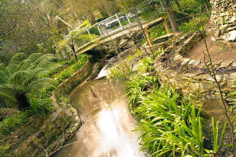 Aldgate Creek Cottage Bed And Breakfast - Accommodation Georgetown 17