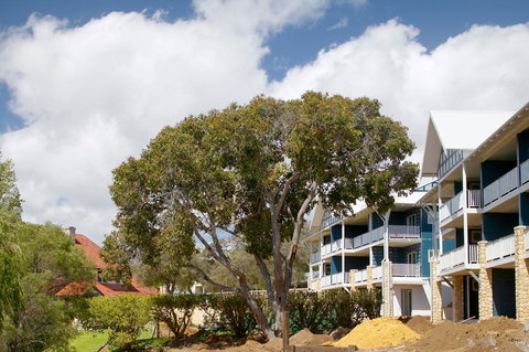 Seashells Yallingup - Accommodation Georgetown 4