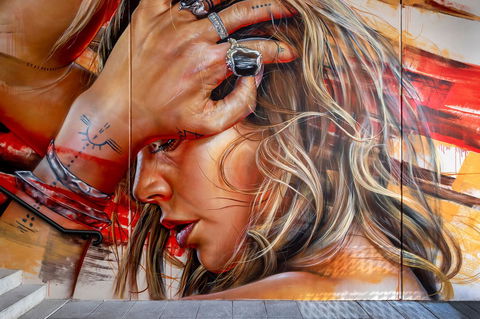 The Adnate Perth - Art Series - Accommodation Georgetown 17