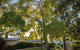 Karrinyup Waters Resort - thumb 3