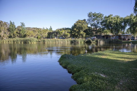 Karrinyup Waters Resort - Accommodation Georgetown 15