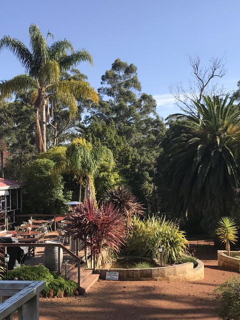 Forest Lodge Resort - Accommodation Georgetown 8