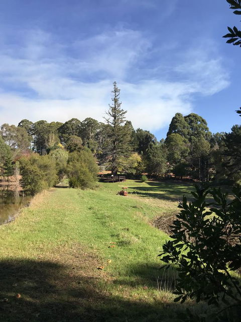 Forest Lodge Resort - Accommodation Georgetown 31