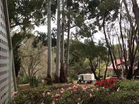 Forest Lodge Resort - Accommodation Georgetown 11