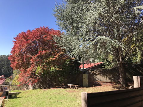 Forest Lodge Resort - Accommodation Georgetown 42