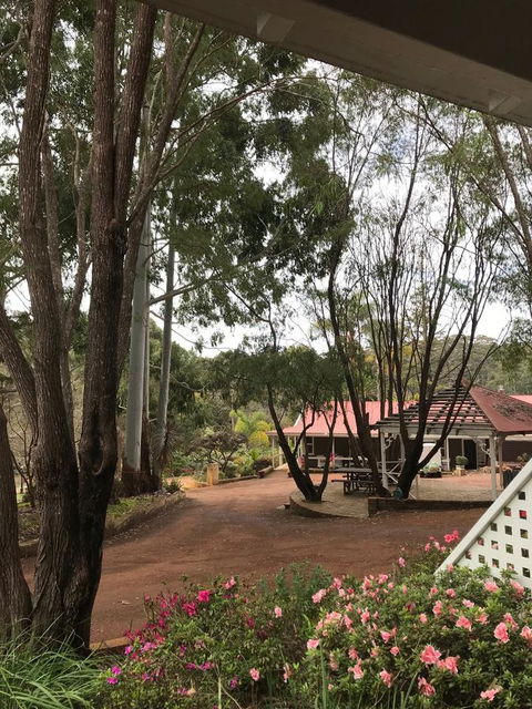Forest Lodge Resort - Accommodation Georgetown 9