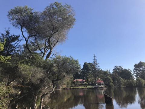 Forest Lodge Resort - Accommodation Georgetown 36