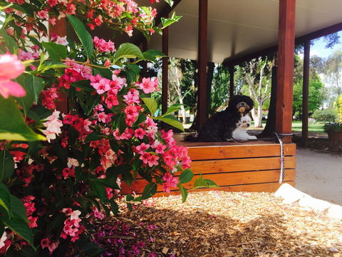 Armidale Tourist Park - Accommodation Georgetown 34