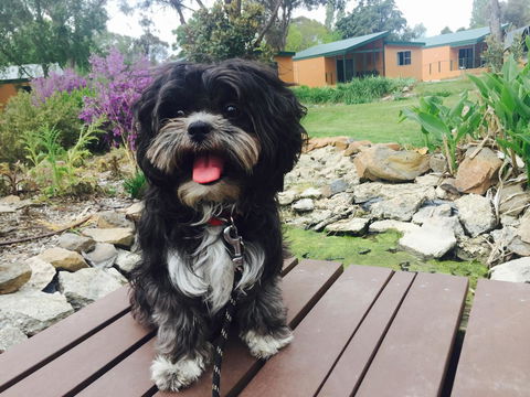 Armidale Tourist Park - Accommodation Georgetown 32