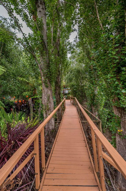Chimes Spa Retreat - Accommodation Georgetown 25