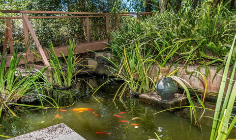 Chimes Spa Retreat - Accommodation Georgetown 27