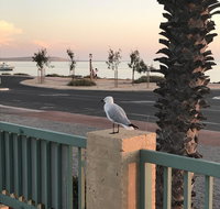Shark Bay Seafront Apartments - Accommodation Georgetown