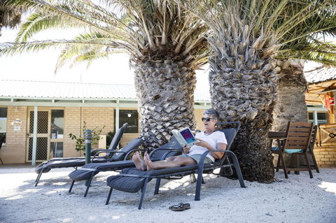 Shark Bay Seafront Apartments - Accommodation Georgetown 22