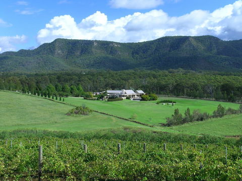 Grapevines Boutique Accommodation - Accommodation Georgetown 23